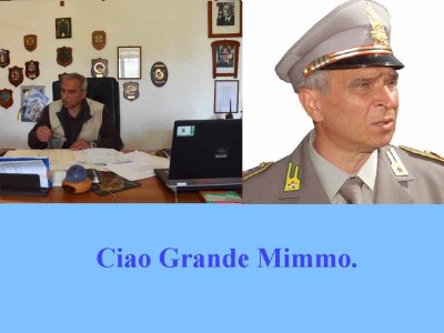 mimmo