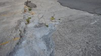 Cala Chiesa Ponte, Via Guardia Gellone, ora anche in Via Chiusedda si notano preoccupanti cedimenti della strada comunale. Insomma, almeno da quanto ci hanno riferito, la situazione […]