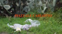 Come potrete notare dalle foto scattate nello spiazzo di Carlotto, sulla salita per Guardia Vecchia e in panoramica la situazione non cambia, abbiamo il sospetto che ci […]