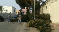 Ottimo lavoro dell’Amministrazione Montella (in particolare Cataldi e Mureddu) e della Marina Militare Italiana in Via Ammiraglio Mirabello. In questa circostanza la Marina Militare ha messo a […]