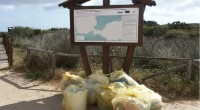 Ci sembra giusto evidenziare l’iniziativa volontaria di alcuni dipendenti del Parco nel raccogliere rifiuti abbandonati nell’isola di Caprera. La raccolta è stata effettuata volontariamente senza alcun coinvolgimento […]