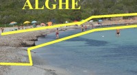 Dopo tanti anni sono ritornato nella spiaggia dei Due mari, ci sono andato con la mia famiglia e nipoti: insomma, senza ex Ministri, Presidente o Vice Sindaco. […]