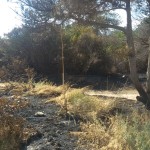 INCENDIO 3