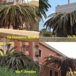 Palme 2