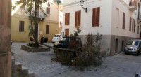 Il forte vento durante la notte tra domenica e lunedì ha lasciato il seglo. Infatti, un albero è stato sradicato in Piazzetta Verdi e la stessa sorte […]