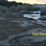 ALGHE BAIA TRINITA 3