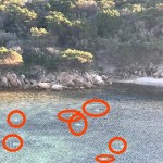 cala lunga aa