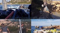 Sono dovute alcune precisazioni a scanso di ‘equivoci’. La giornata ‘Un’isola senza plastica’ è stata organizzata da alcuni operatori turisti del settore e da Liberissimo (MADDALENINI). Sono […]