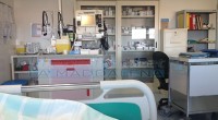 Non ci arrenderemo mai di chiedere una corsia preferenziale per tutti i maddalenini che si recano nelle strutture ospedaliere di Olbia e Tempio per visite specialistiche e […]