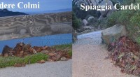 Arrivare ad abbandonare le cortecce o residui di una palma nella stradina che porta alla spiaggia del Cardellino o nel belvedere dei Colmi si può definire solo […]