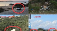 Oggi ci viene difficile stare dalla parte del Parco Nazionale quando registriamo la loro completa indifferenza, ogni volta non può aspettare il volontario o il cittadino per […]