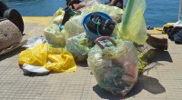 Non possiamo essere più che soddisfatti del movimento creato dal gruppo ‘Un arcipelago senza plastica’ a favore del nostro arcipelago. Nessuno dei partecipanti, locali e turisti, ha […]