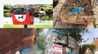 Le immagini che vi mostriamo sono state scattate dal nostro lettore a Cala Gavetta, in Via Giulio Cesare e in Via Primo Longobardo. Per noi non è […]