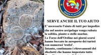 Con l’intervento che si effettuerà venerdì 14 giugno a Santo Stefano si raggiunge quota sei delle giornate ecologiche effettuate dal gruppo ‘Un arcipelago senza plastica’ con la […]