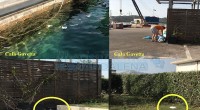 Alcuni amici da tempo ci hanno fatto notare il problema del box rifiuti di Cala Gavetta. Nella giornata di venerdì, prima di trasferirci a Santo Stefano, abbiamo […]