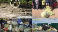 Il gruppo di ‘Un arcipelago senza plastica’ compreso il sottoscritto, non sono stati mai alla ricerca di spazi giornalistici o medaglie, hanno svolto sempre con passione il […]