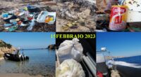 Ogni giorno volontari/e sono presenti sul territorio (La Maddalena e Caprera), per la raccolta della plastica. Non sempre rendiamo pubblici i loro continui interventi, solo quando capita […]