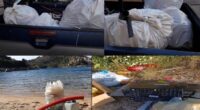 I volontari di ‘Un arcipelago senza plastica’ quasi giornalmente segnalano al gruppo discariche abusive o raccolgono materiale plastico sugli arenili (TUTTO DOCUMENTABILE). Spesso e volentieri si notano […]