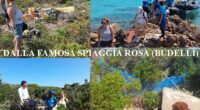 Sicuramente l’isola di Budelli ha ‘regalato’ il maggior numero di rifiuti abbandonati dietro i ginepri, a pochi metri dalla famosa spiaggia Rosa, che noi avremmo vietato per […]