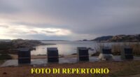 Possiedo una seconda abitazione nel comune di La Maddalena che utilizzo 1 o 2 mesi l’anno per la quale pago la tassa rifiuti per 12 mesi ogni […]