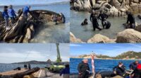 Straordinaria impresa nella giornata dedicata alla pulizia fondali organizzata dai volontari di ‘Un arcipelago senza plastica’, Comune di La Maddalena, Ente Parco e Guardia Costiera il 28 […]