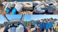 Alcune volontarie del gruppo ’Un arcipelago senza plastica’ hanno ripulito una parte della zona dell’Isuleddu raccogliendo un sacco di rifiuti, molti nascosti tra la vegetazione (non avevamo […]